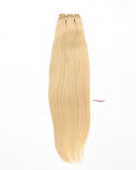 613-blonde-malaysian-hair