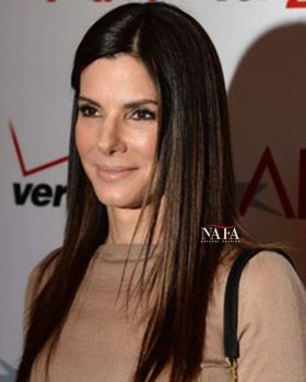 Long Dark Brown Hair Wig Transparent Lace Color Silk Base Wig