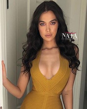 Natural Malaysian Straight Hair Wig Light Brown Lace Color