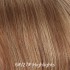 6#/27# Highlights,roots Natural Color